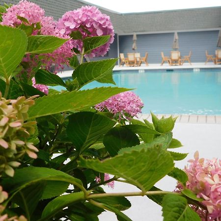 Comfort Inn & Suites Glen Mills - West Chester Luaran gambar