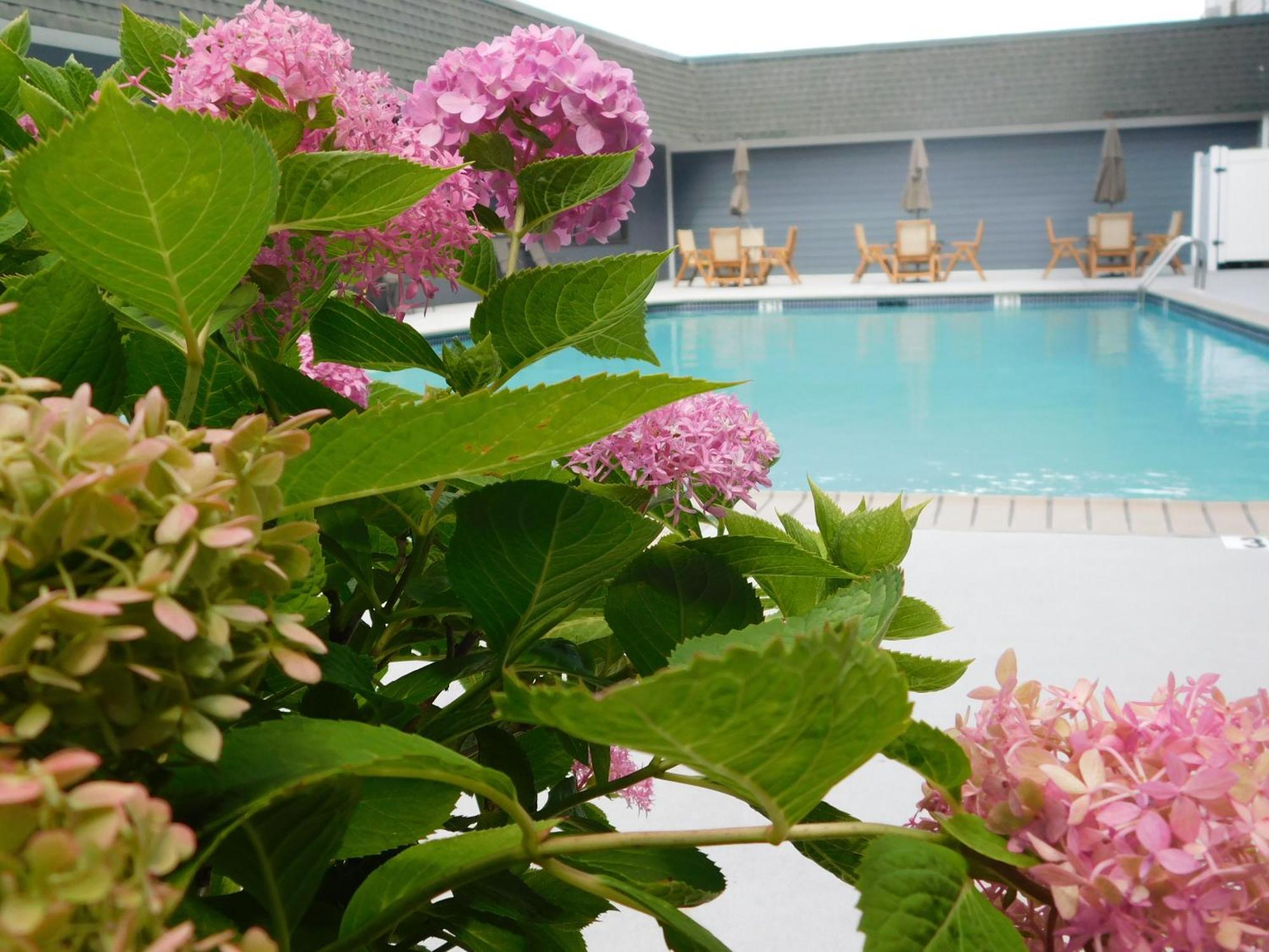 Comfort Inn & Suites Glen Mills - West Chester Luaran gambar